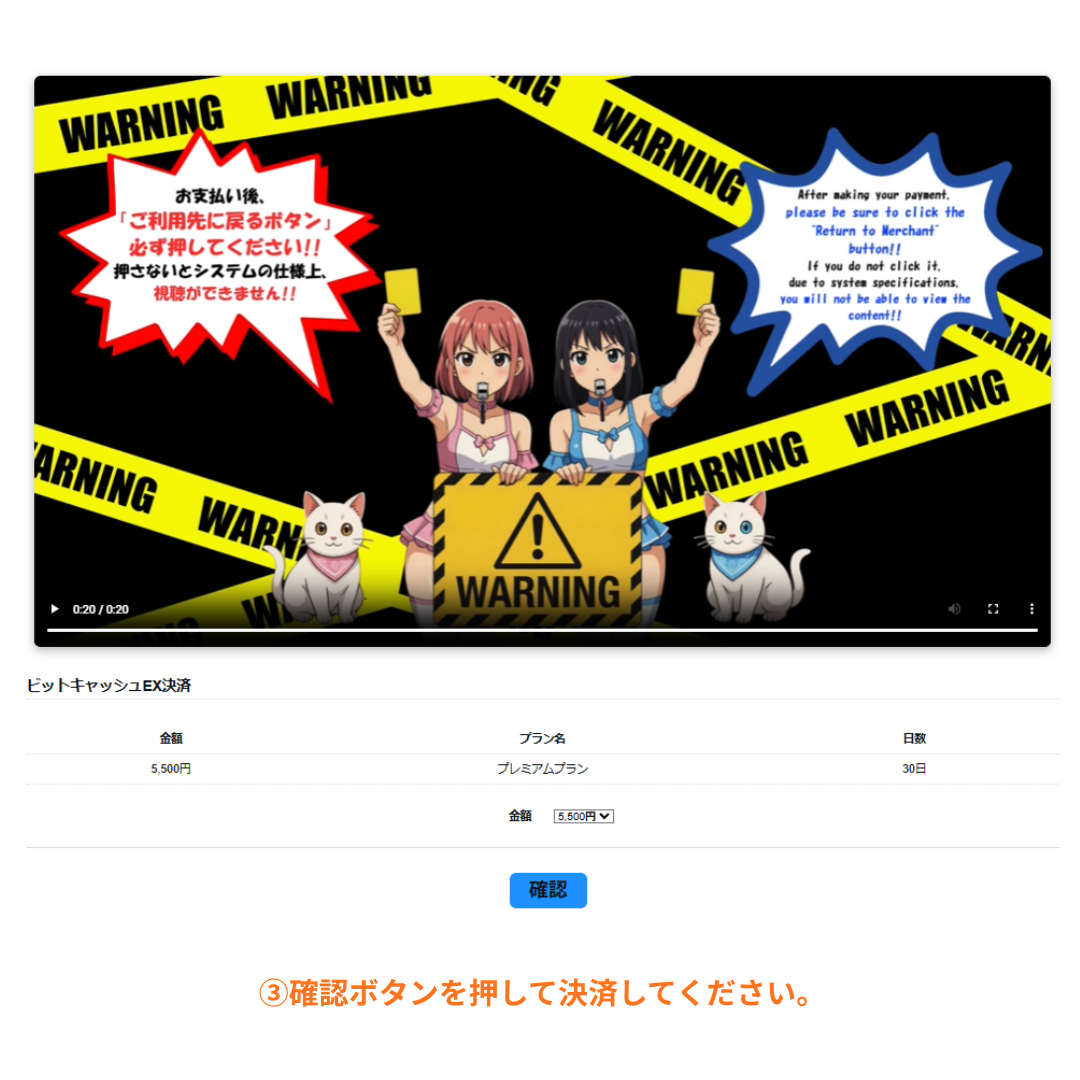 説明